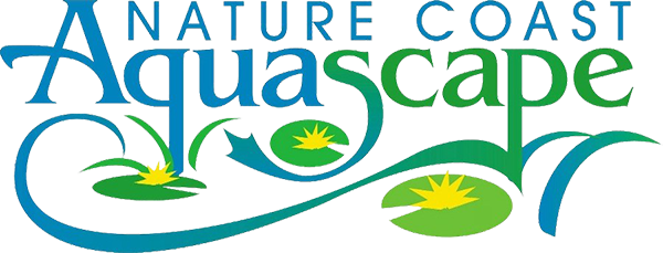 Nature Coast Aquascape